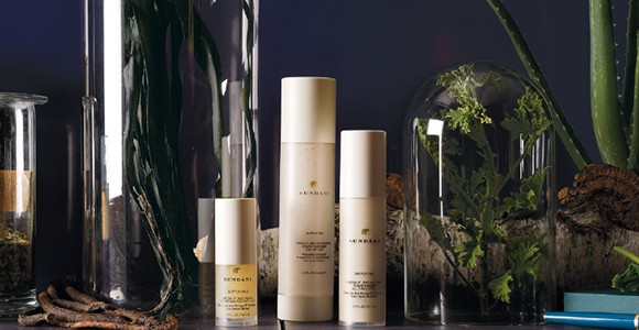 Les produits sundari